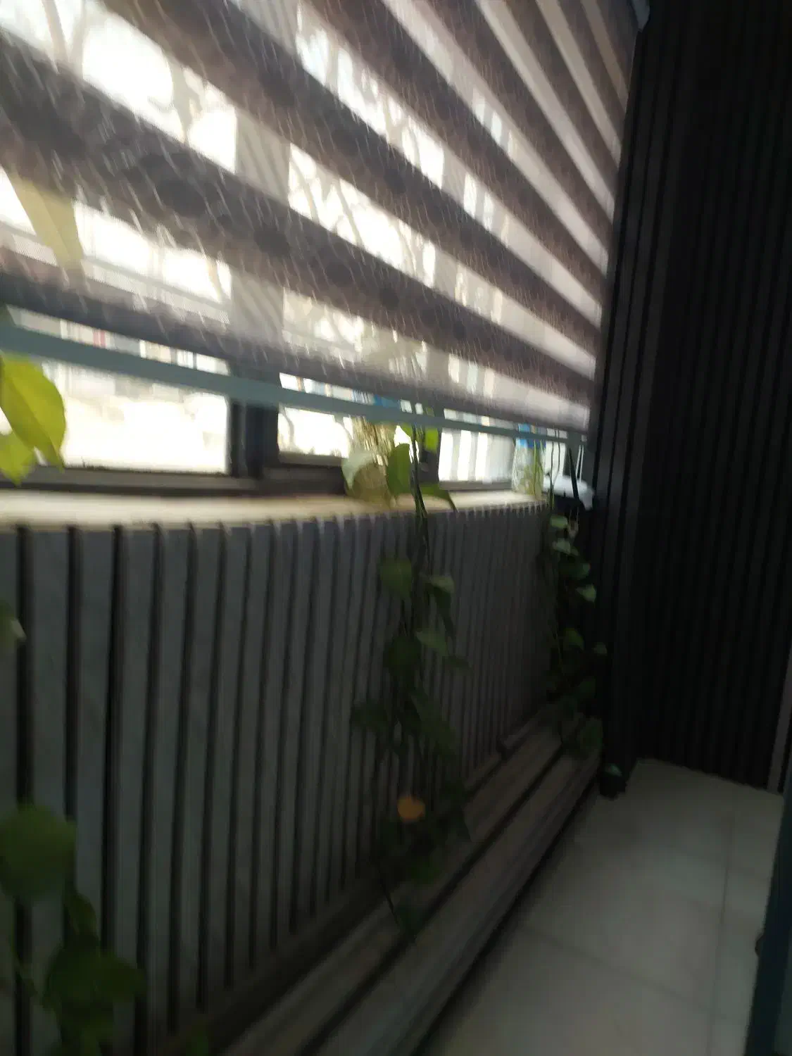 به چند منشی خانم نیازمندیم|استخدام اداری و مدیریت|پاکدشت, پاکدشت (مامازند)|دیوار