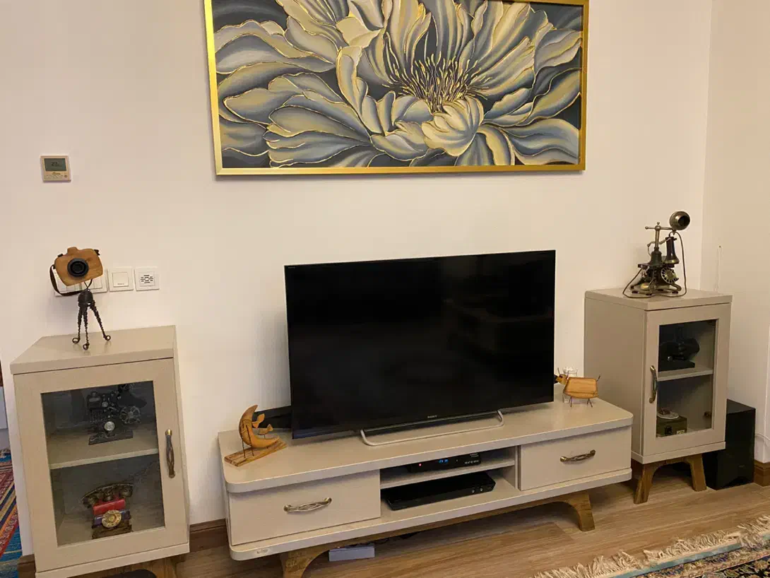 تلویزیون ۴۹ اینچ سونی|تلویزیون و پروژکتور|تهران, شهرک خرازی|دیوار