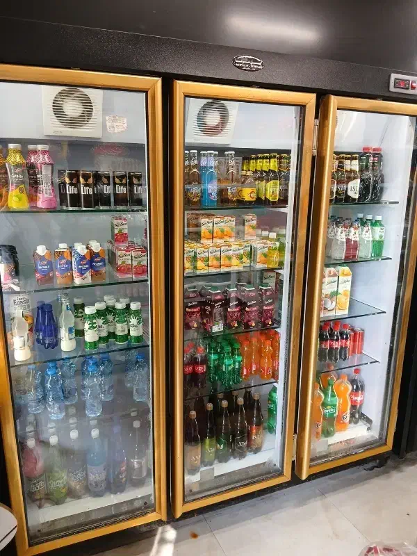 یخچال فروشگاهی|فروشگاه و مغازه|رشت, گلسار|دیوار