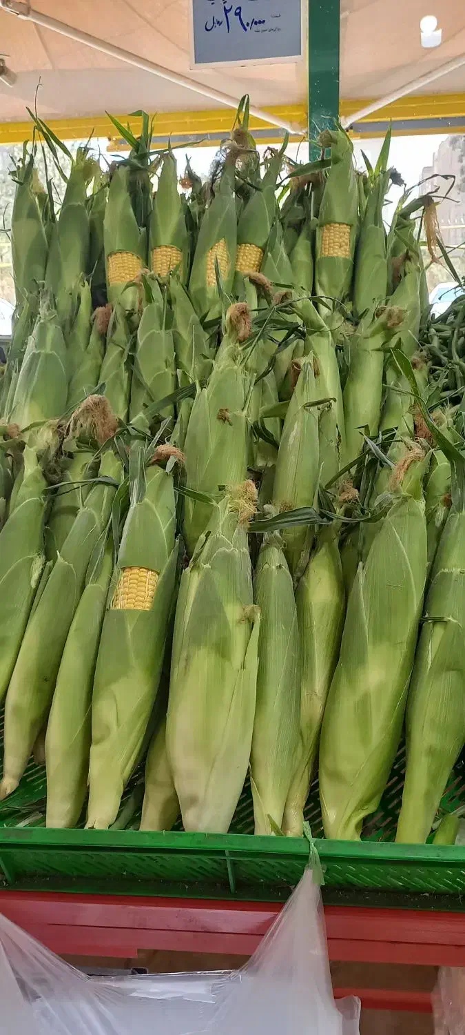 کارگر غرفه تره‌بار /نیروغرفه .|استخدام خدمات فروشگاه و رستوران|تهران, مسعودیه|دیوار