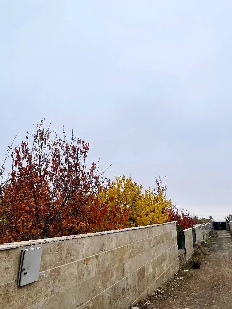 زمین شهرکی کردان فشند 665 متر چسب بافت|فروش زمین و ملک کلنگی|هشتگرد, فشند|دیوار