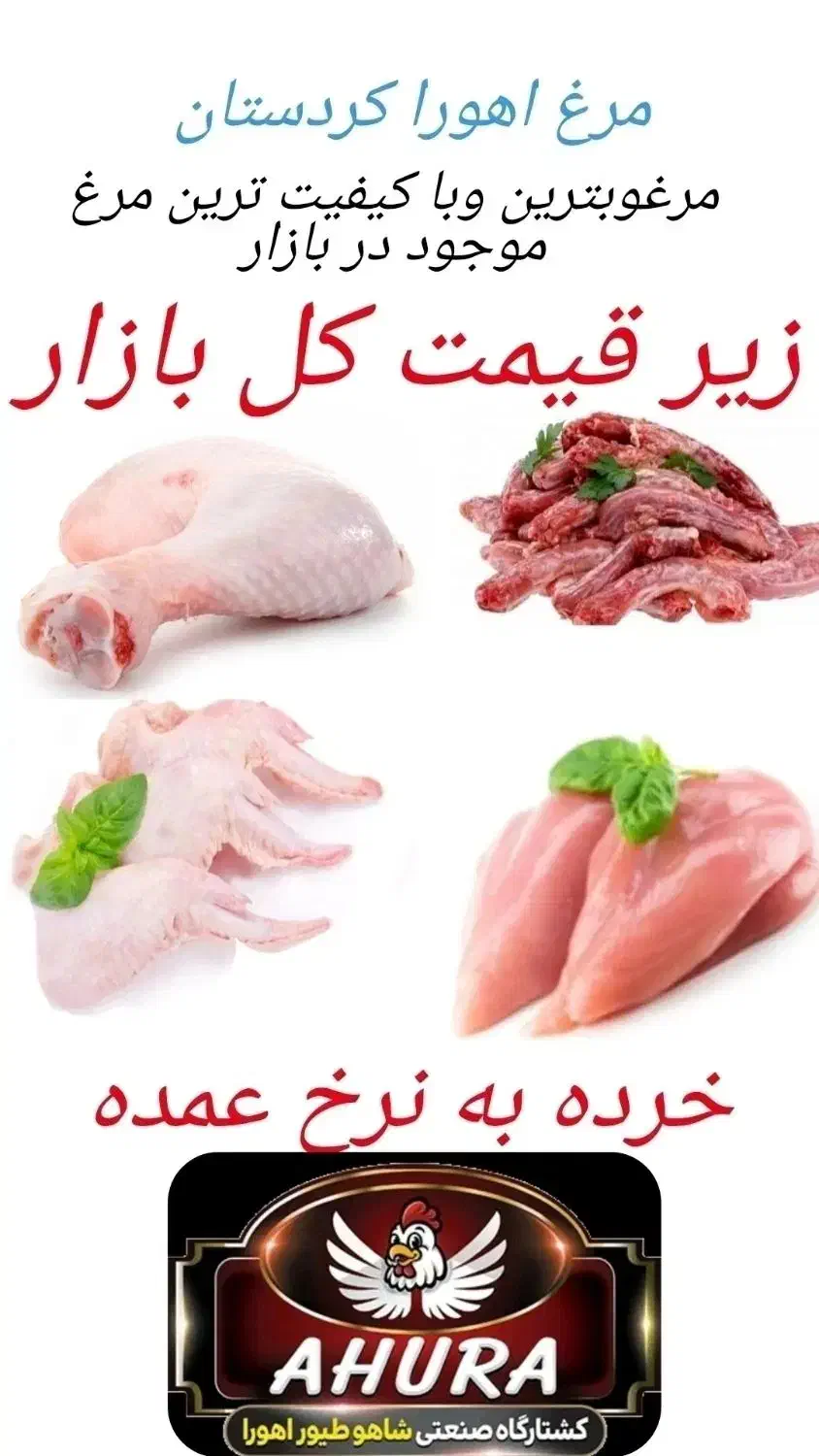 فروش مرغ وقطعات مرغ به قیمت عمده|حراج|جوانرود, |دیوار