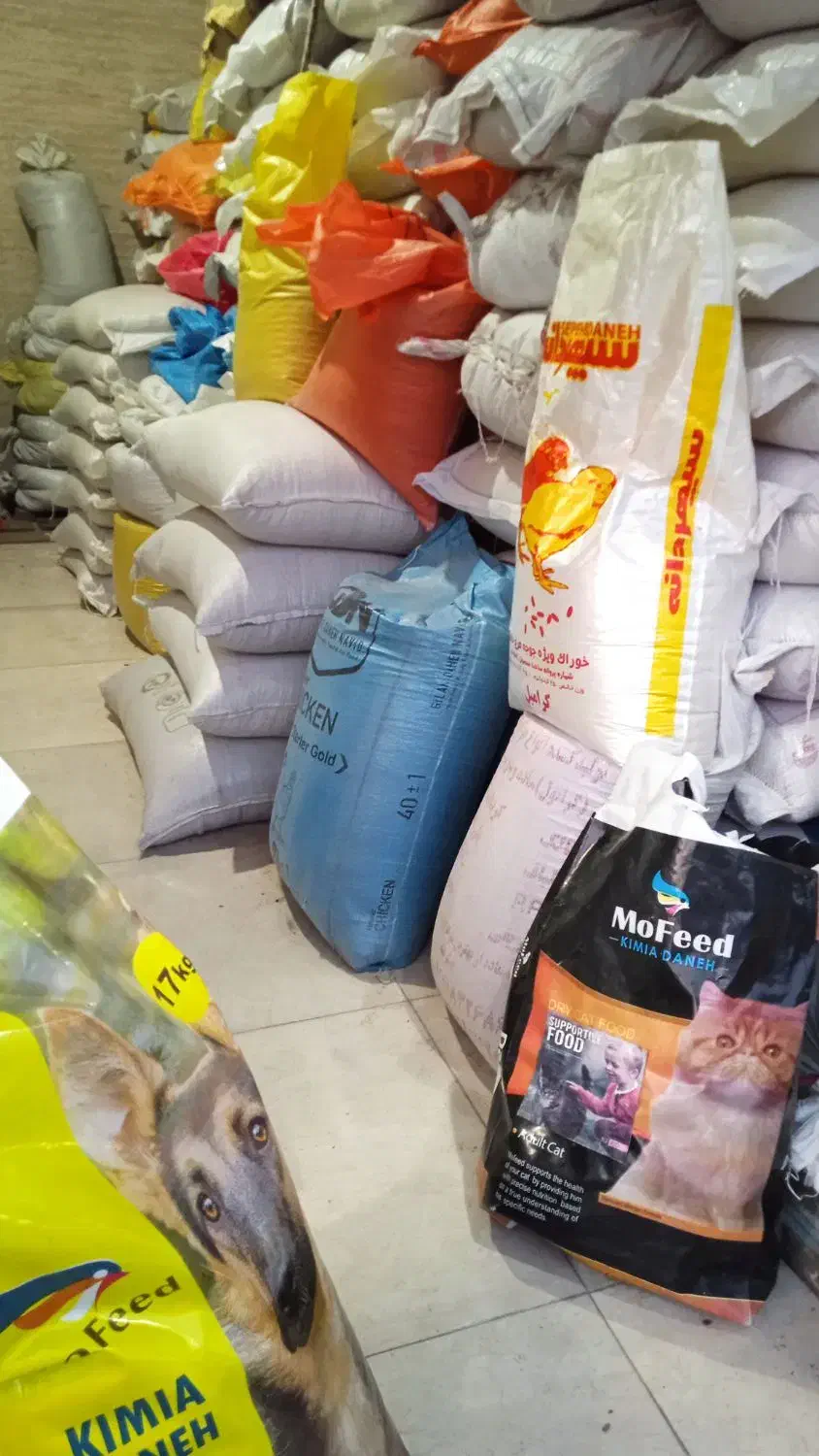 انواع دانه و پرنده و لوازم جانبی پرندگان|لوازم جانبی حیوانات|رشت, دیانتی|دیوار