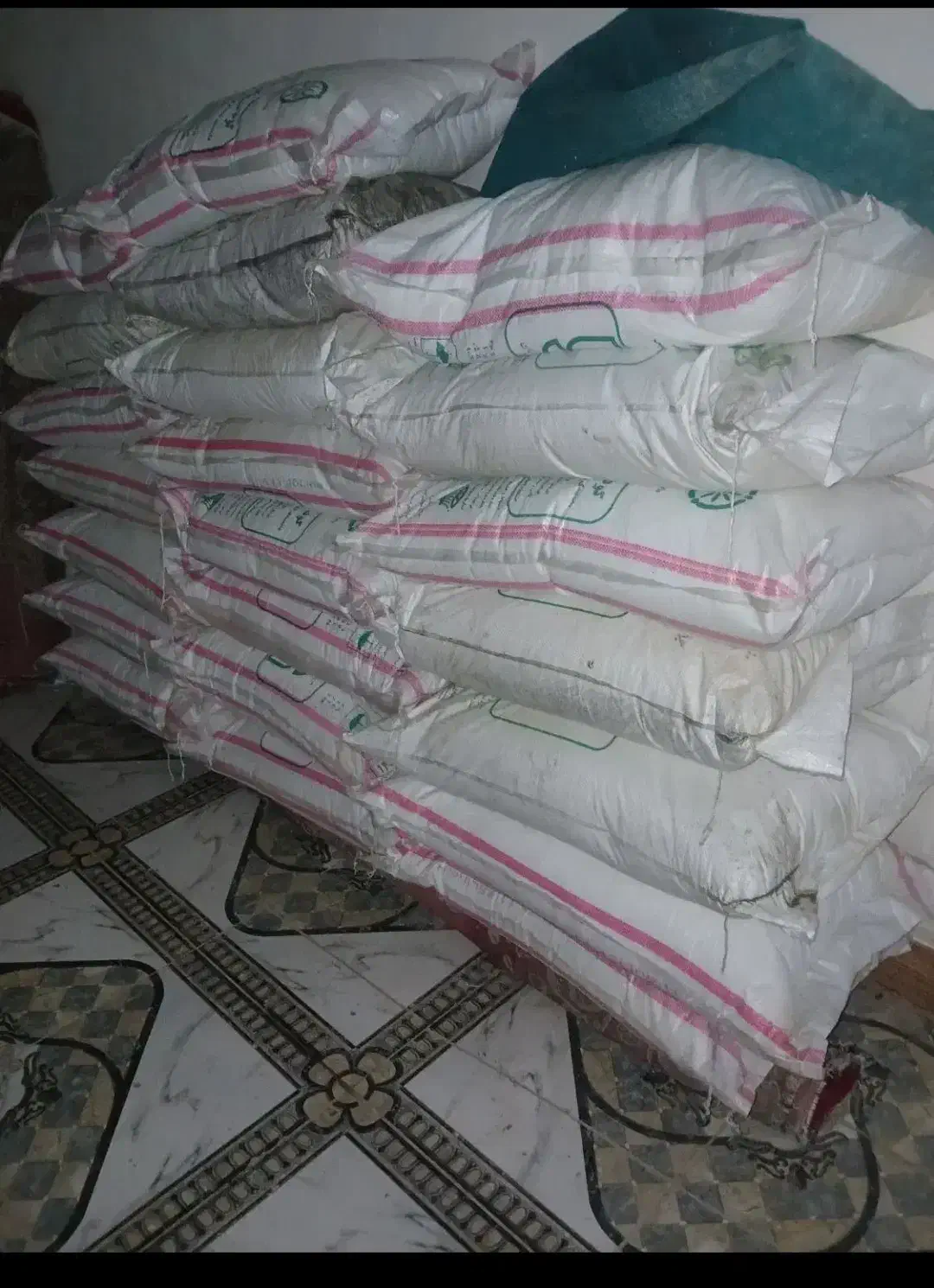 کود پردیس|خدمات باغبانی و درختکاری|شادگان, |دیوار