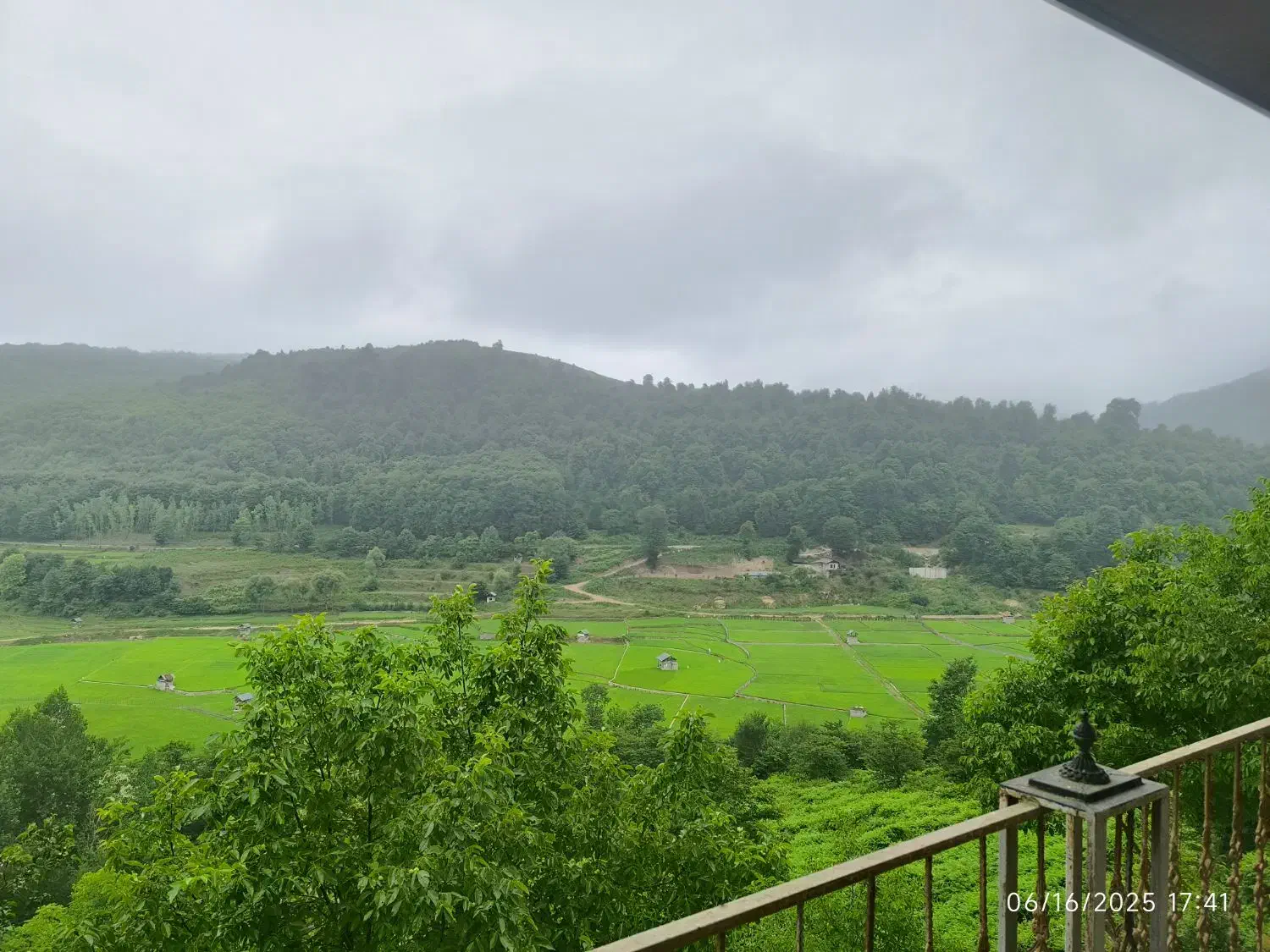 سوپر سایلنت/ویو ابدی جنگل بدون مشرف|اجارهٔ کوتاهمدت ویلا و باغ|زیرآب, |دیوار