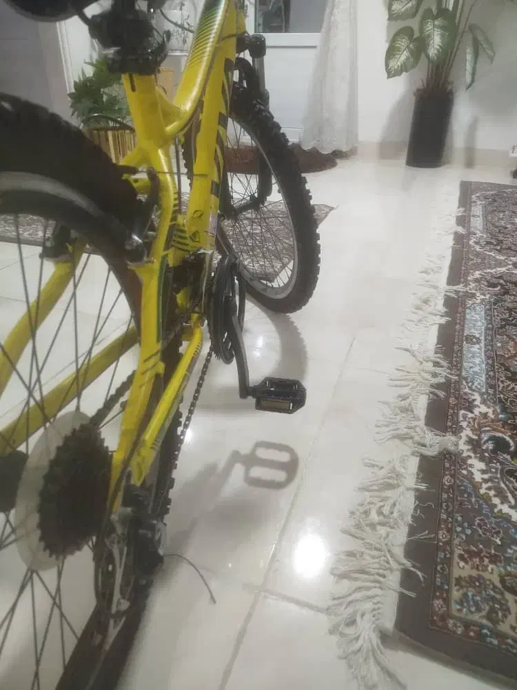 دوچرخه ویوا ۲۴ اینچ|دوچرخه، اسکیت، اسکوتر|بوشهر, |دیوار