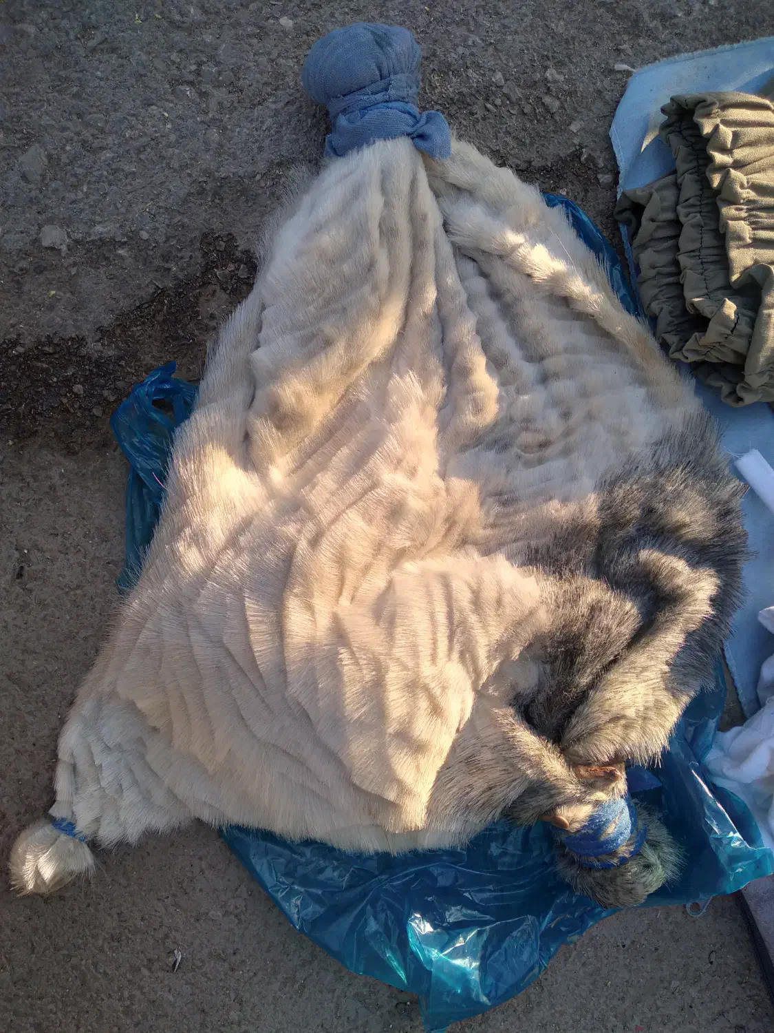 چندتا خیگ روغن۶۹۵|ظروف نگهدارنده، پلاستیکی، یکبارمصرف|ایذه, |دیوار