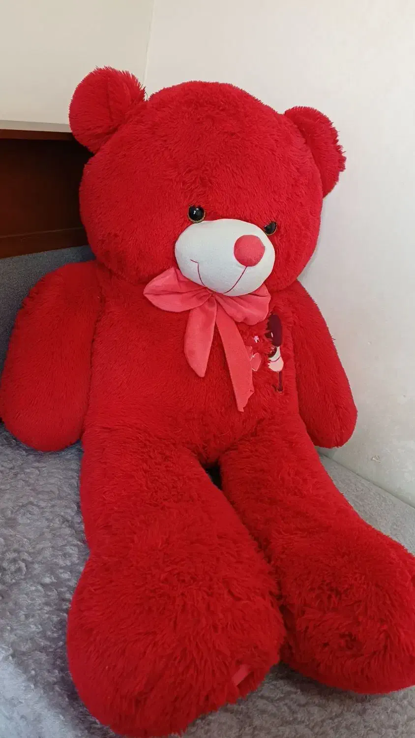 خرس قرمز|اسباب‌‌بازی|کرج, حصارک بالا|دیوار