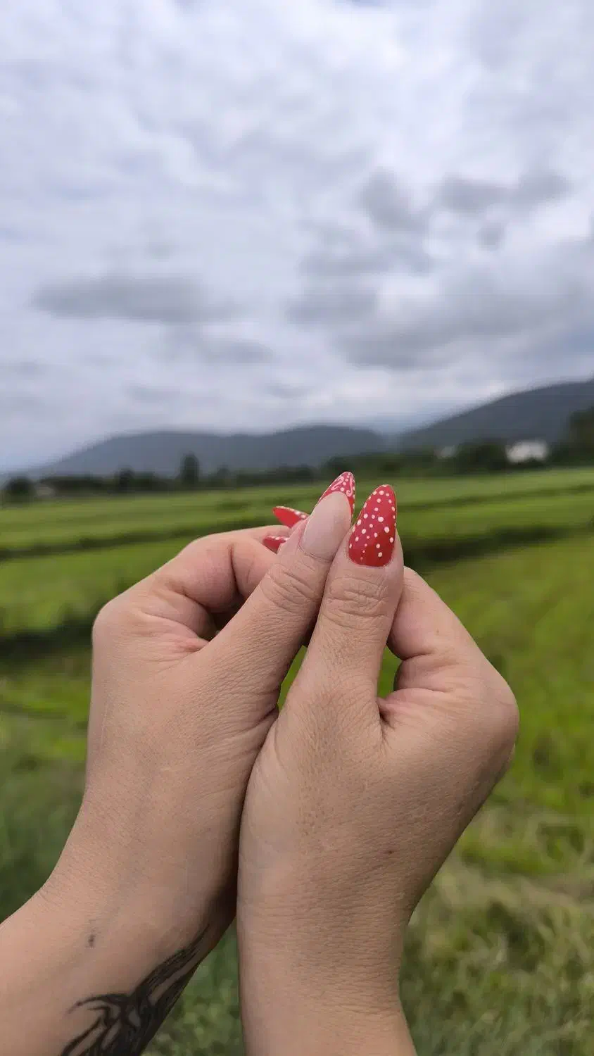 خدمات تخصصی ناخن نمک آبرود|خدمات آرایشگری و زیبایی|چالوس, |دیوار