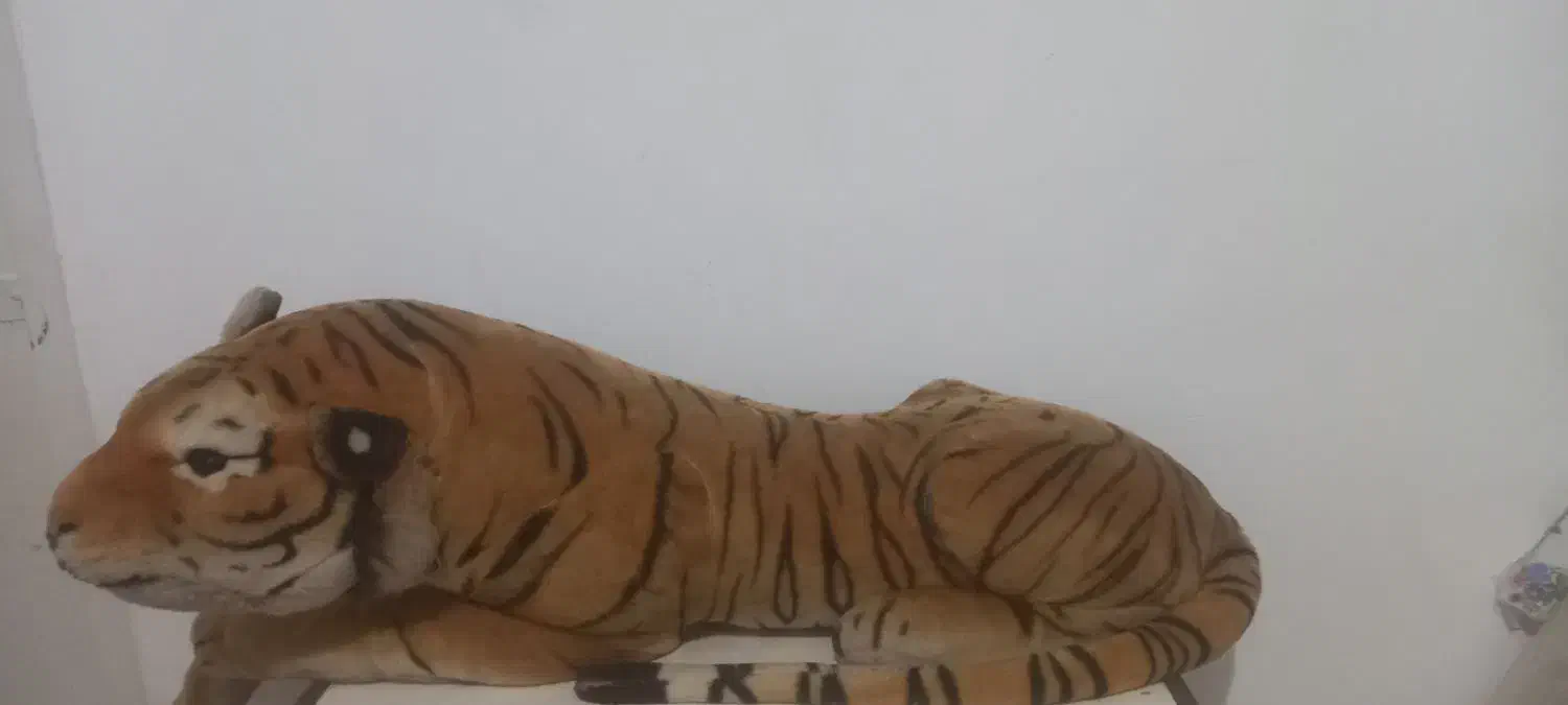 ببربزرگ وزیبا|اسباب‌بازی بچه|قوچان, |دیوار