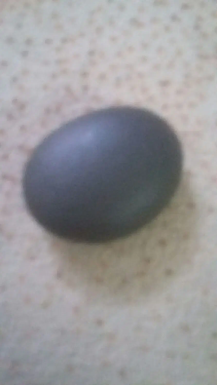 سنگ قدیمی|کلکسیون اشیاء عتیقه|نهاوند, |دیوار