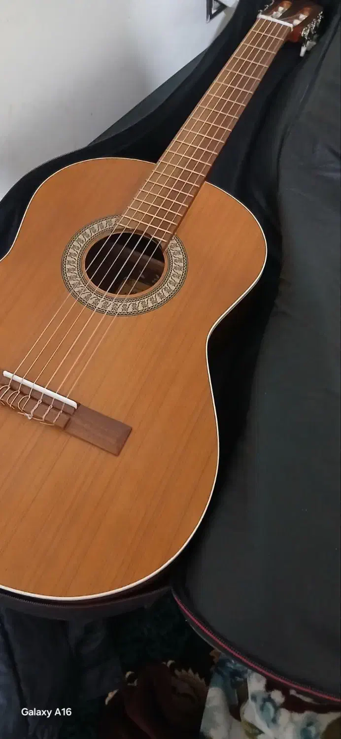 گیتار M5|گیتار، بیس، امپلیفایر|بجنورد, |دیوار