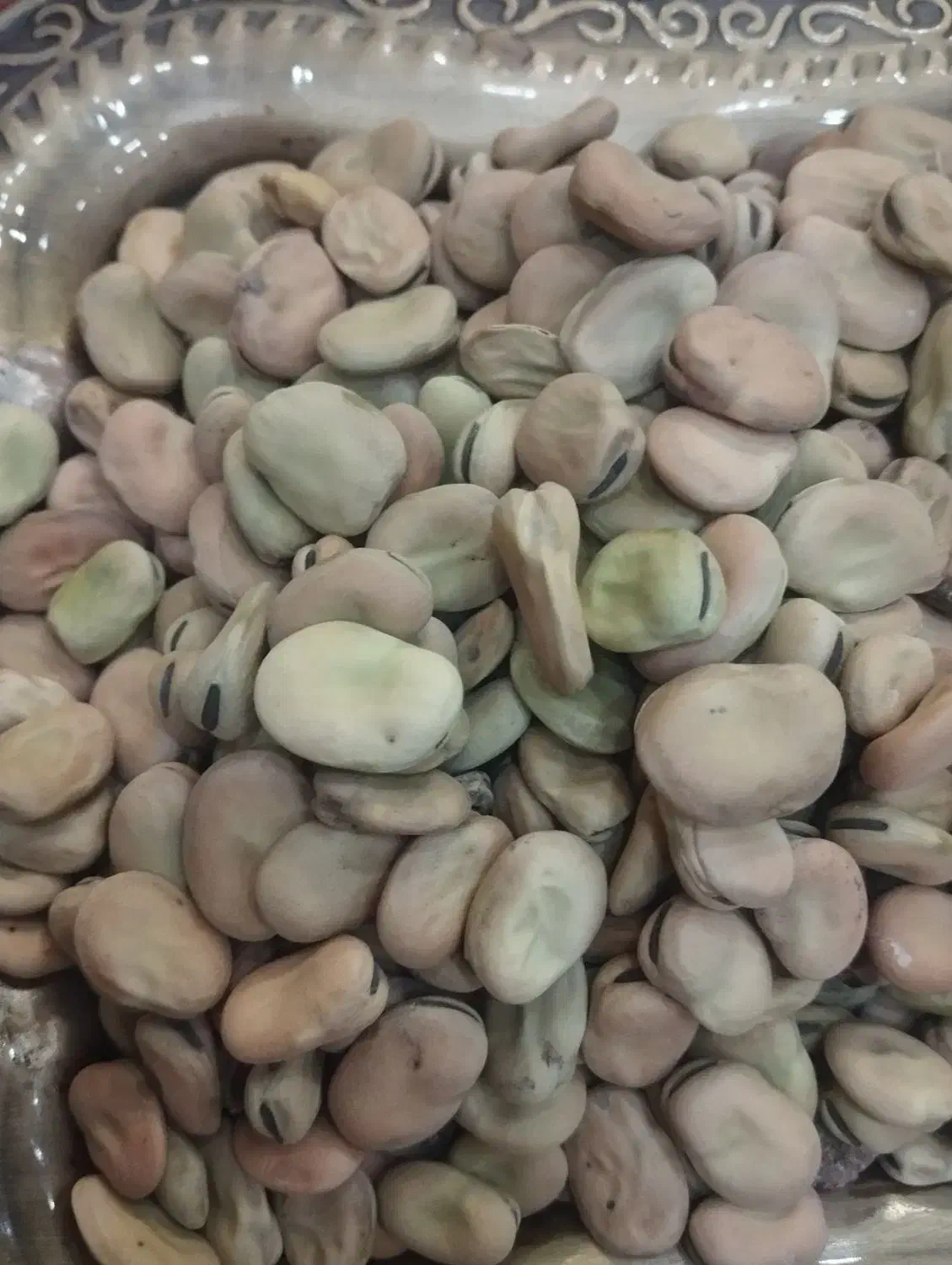 باقلا خشک ودرشت  بالای 5کیلو تخفیف داده میشود|خوردنی و آشامیدنی|آذرشهر, |دیوار