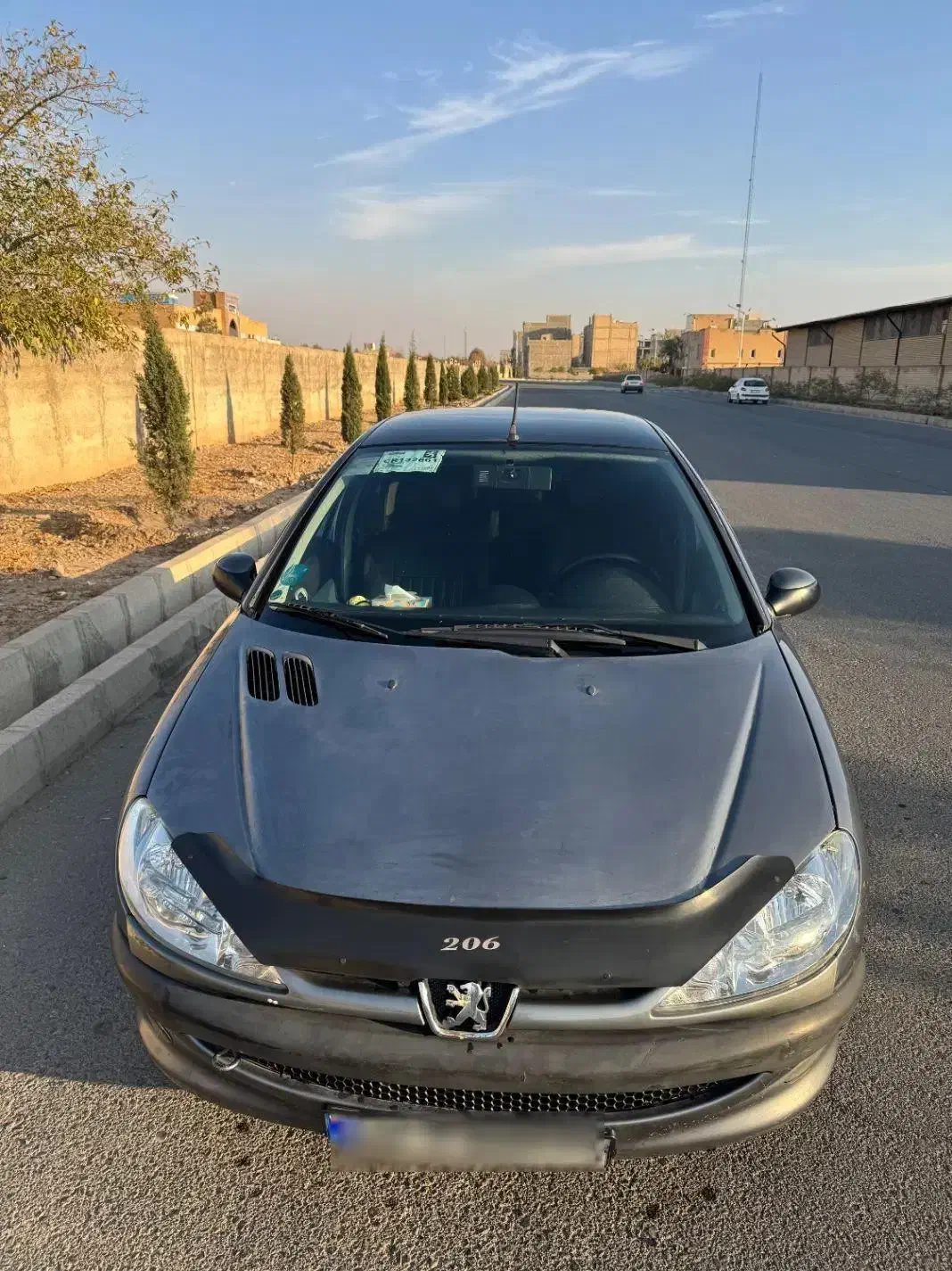 206 مدل ۸۸|خودرو سواری و وانت|هشتگرد, طاووسیه|دیوار