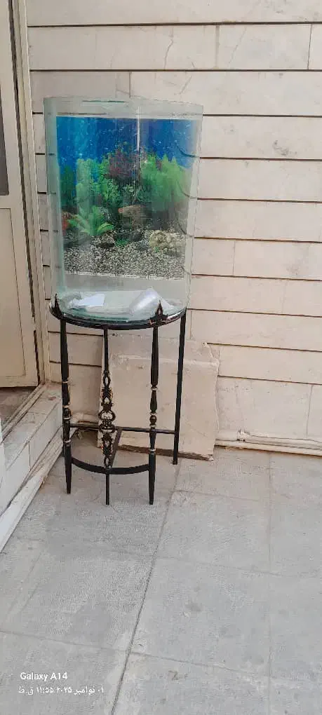 اکواریوم با کلیه وسایل بخاری پایه و...|ماهی|اصفهان, شهرک میلاد|دیوار