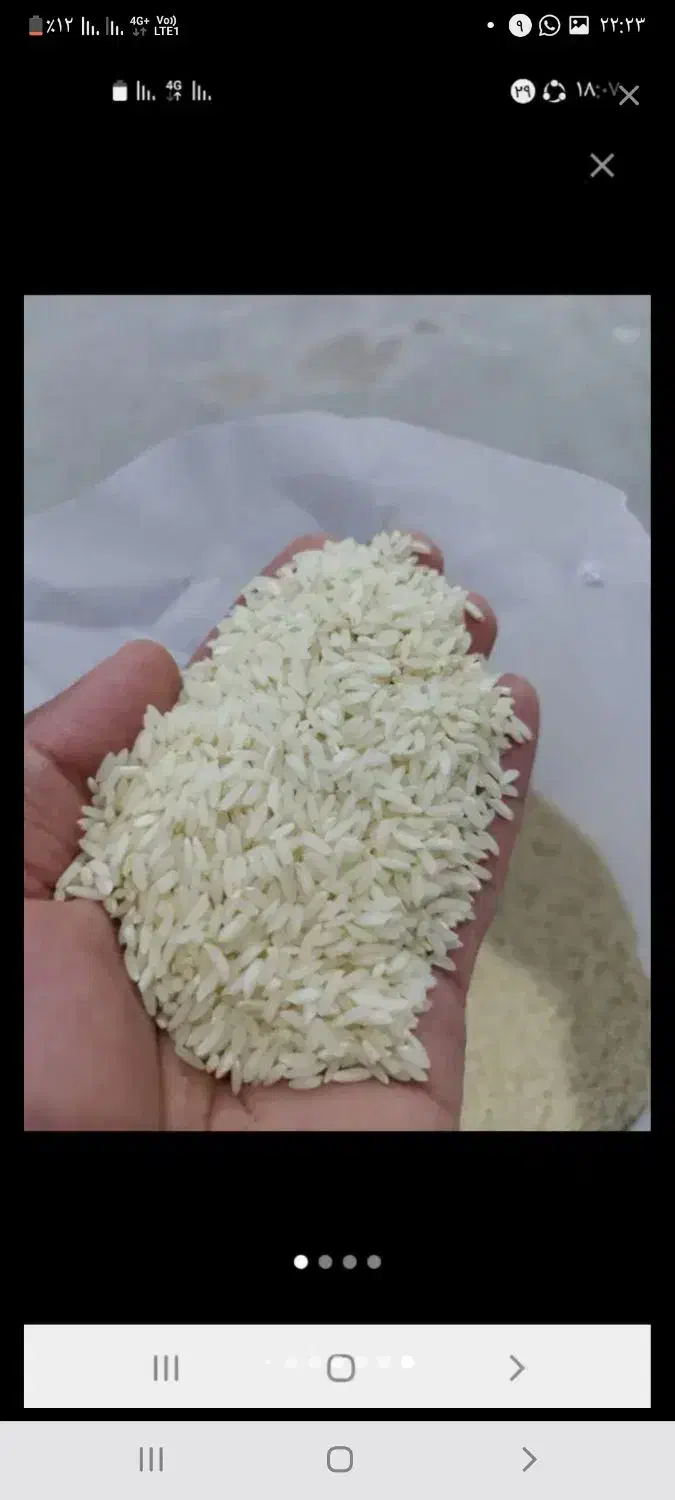 برنج عنبربو افرا برکت|خوردنی و آشامیدنی|اهواز, کیانشهر|دیوار