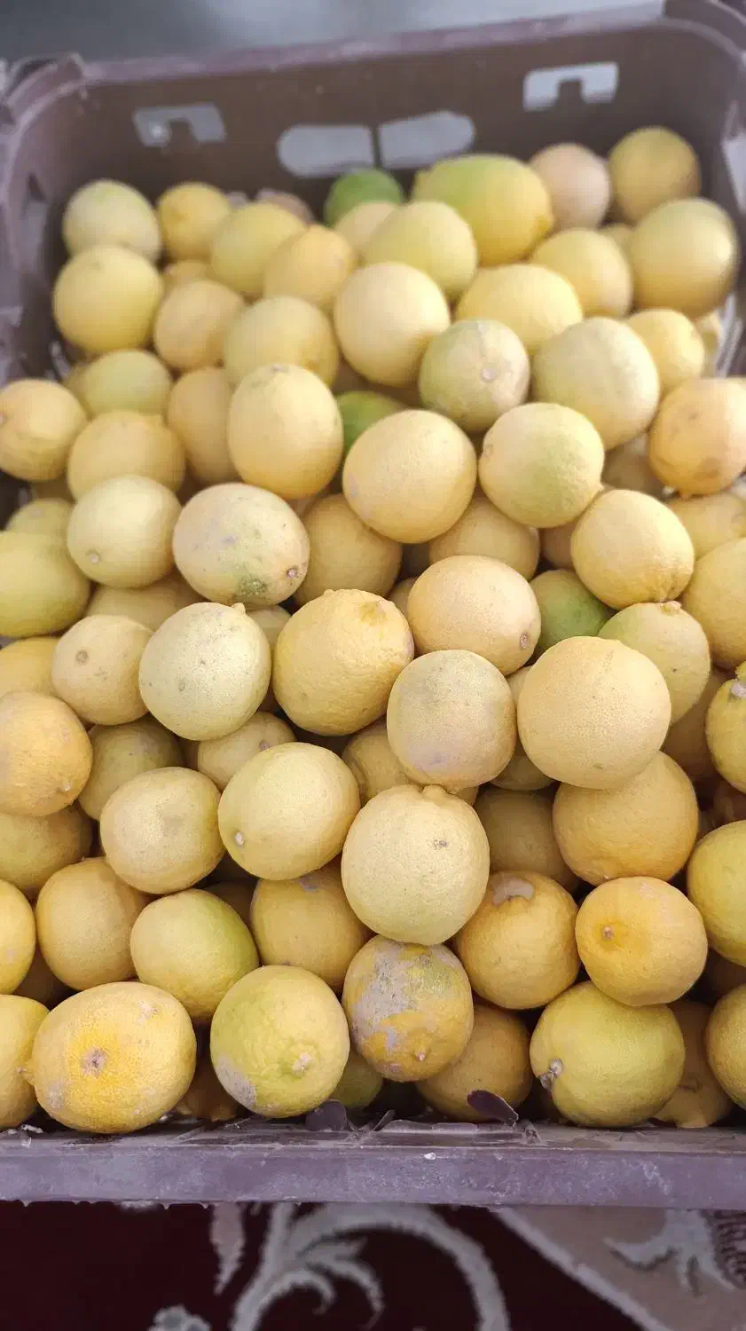 فروش آبغوره و آبلیمو دستی و ارگانیک|خوردنی و آشامیدنی|جنت, |دیوار