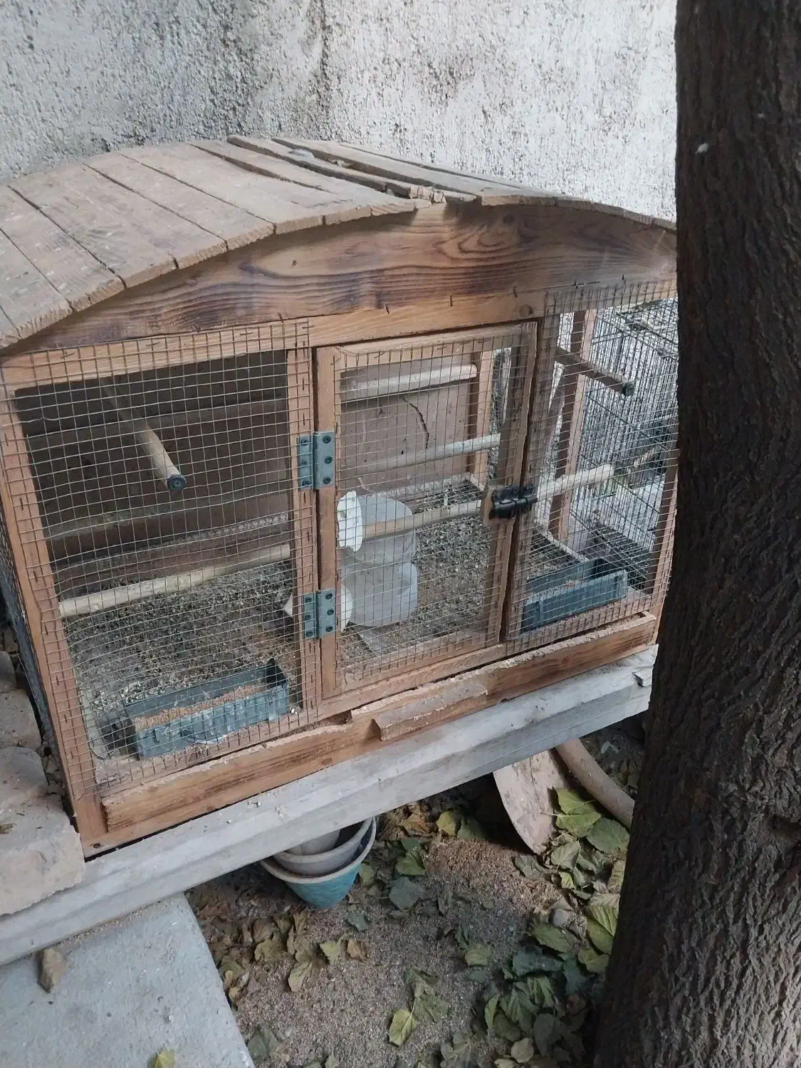 قفس چوبی|لوازم جانبی حیوانات|کرج, شهرک سهرابیه|دیوار