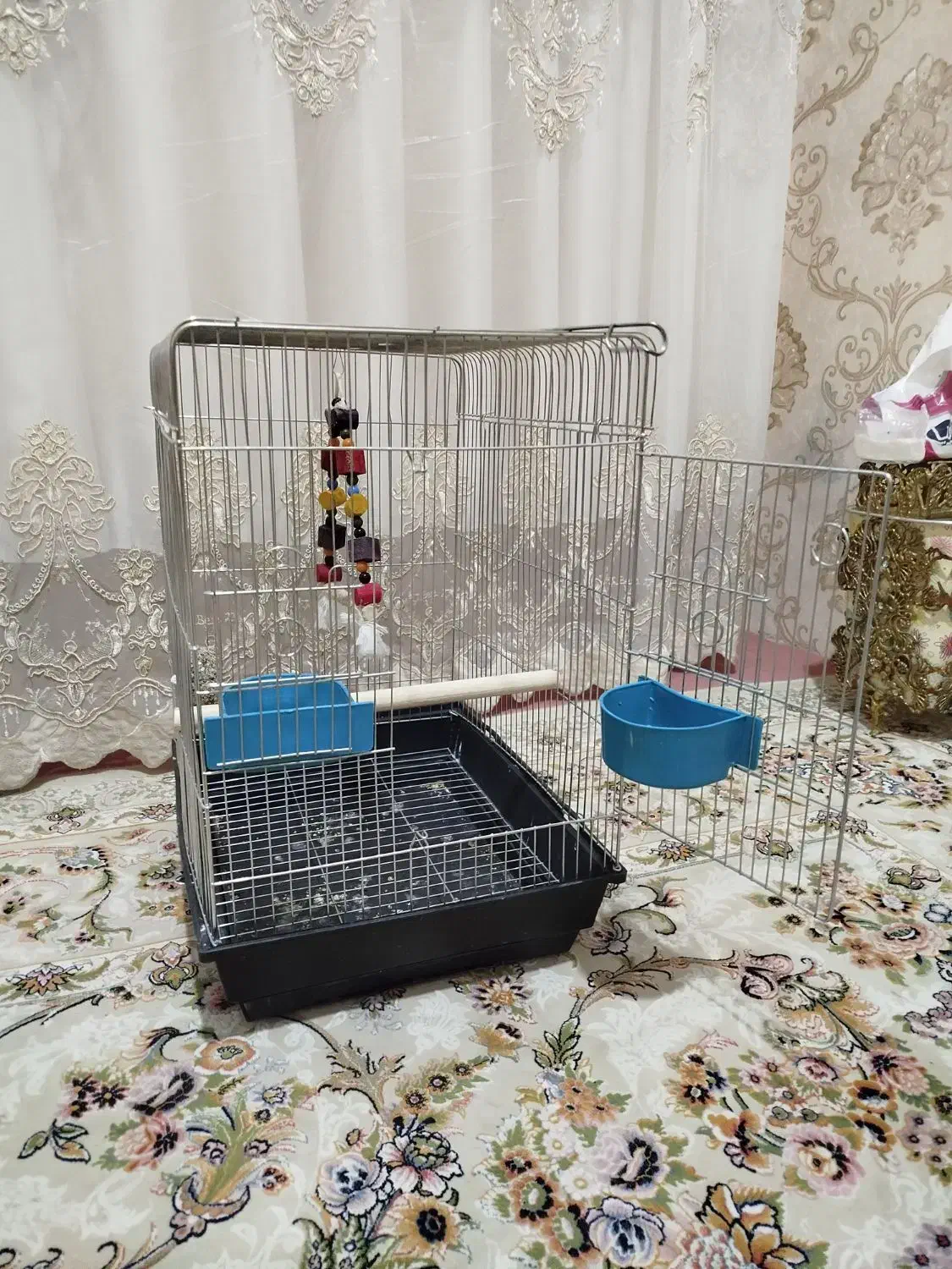 قفس عروس هلندی و طوطی|لوازم جانبی حیوانات|بیجار, |دیوار
