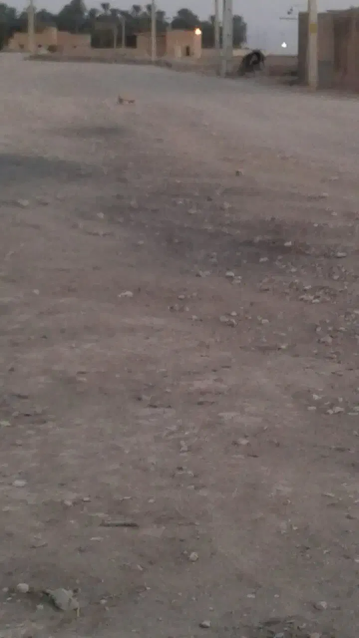 فروش زمین در شیبکوه فسا|فروش زمین و ملک کلنگی|شیبکوه (فارس), |دیوار