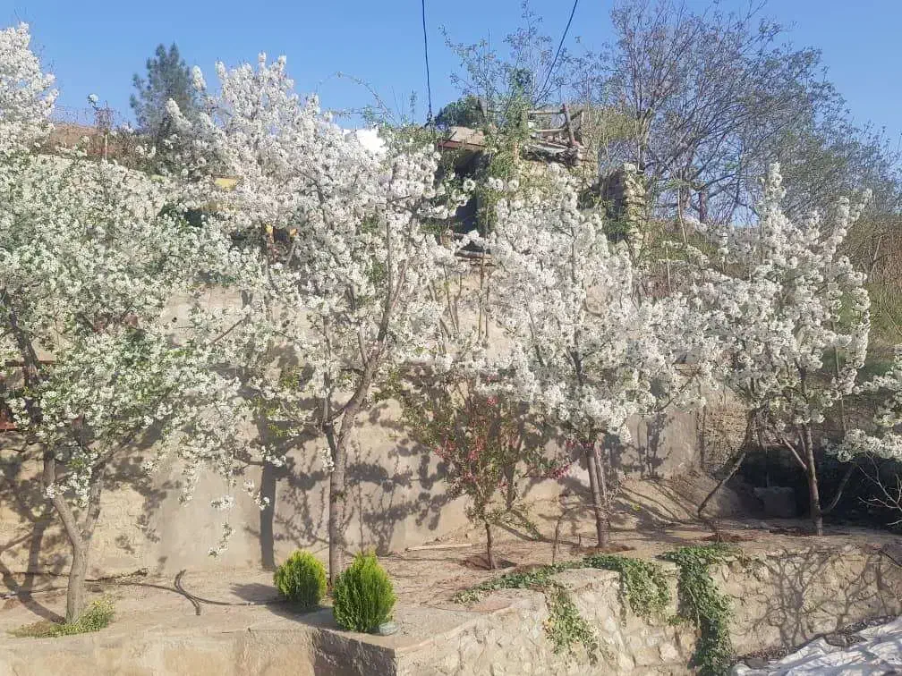 باغچه فروشی منطقه 22 تهران روستای ییلاقی وردیج|فروش خانه و ویلا|کن, |دیوار