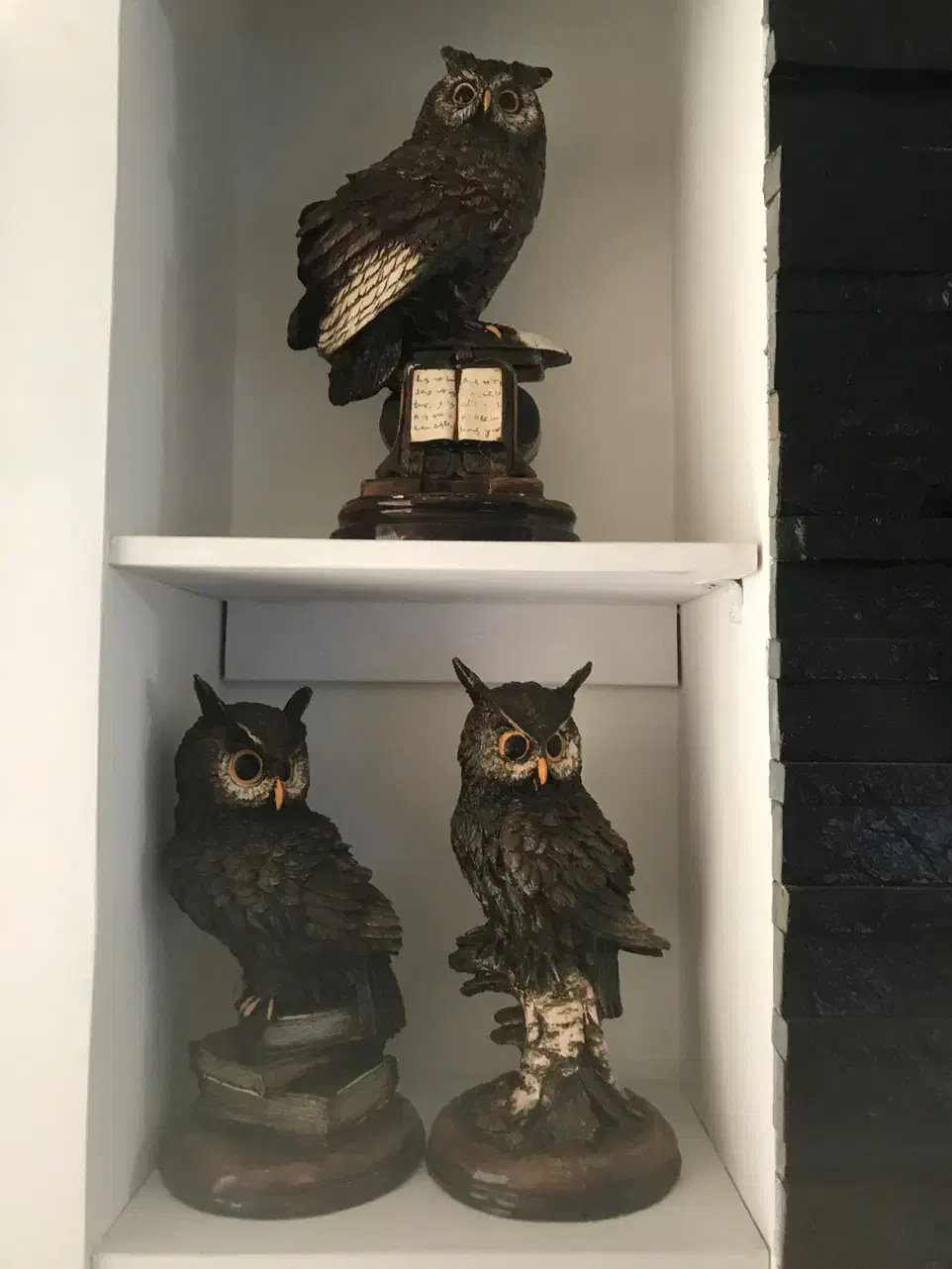 مجسمه جغد دانا|مجسمه، تندیس، ماکت|ساری, |دیوار