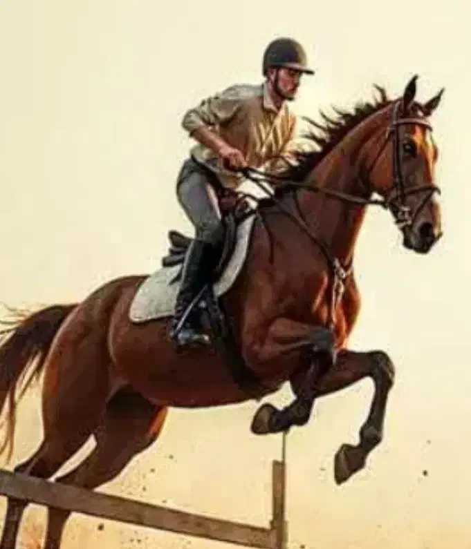 اسب دو سر خارجی پرشی|اسب و تجهیزات اسب‌سواری|تهران, سازمان آب|دیوار