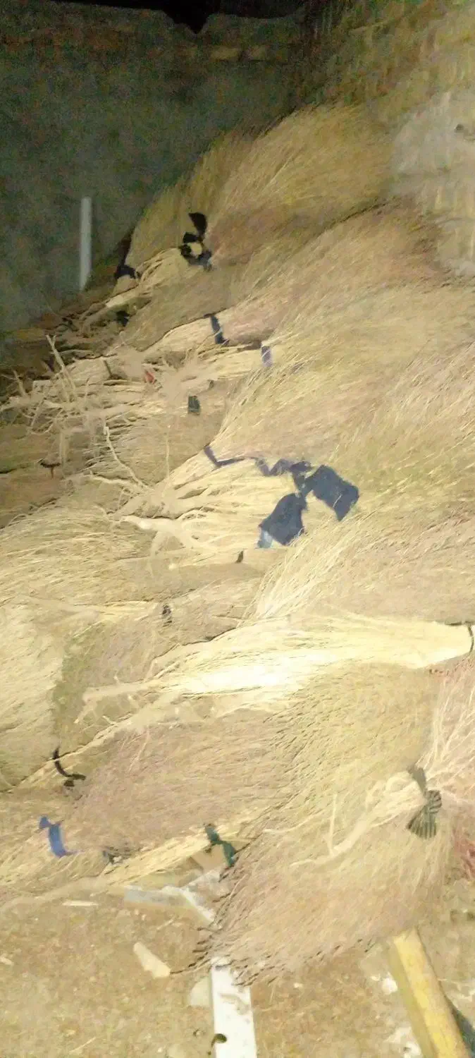 جارو محلی|لوازم نظافت|بیرجند, |دیوار