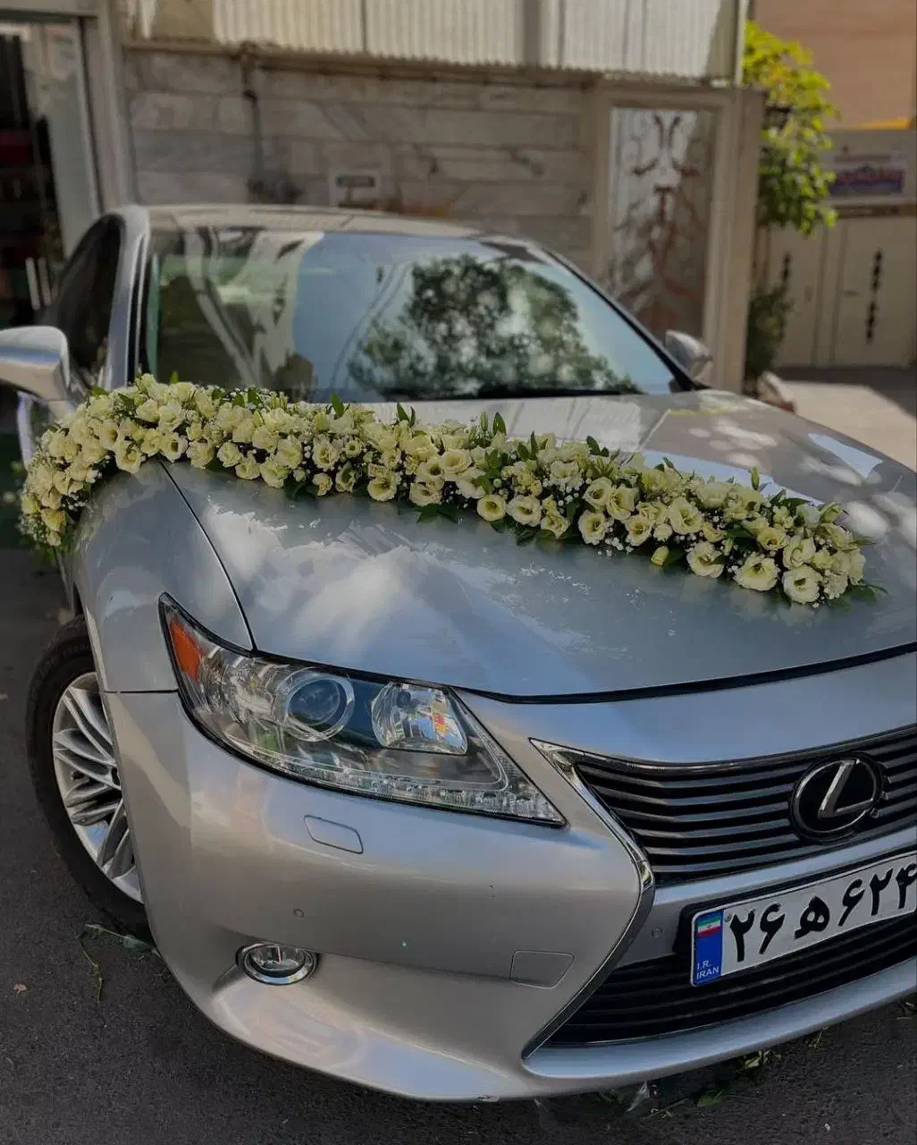 گل آرایی ماشین عروس در محل شما|خدمات پذیرایی، مراسم|تهران, مسعودیه|دیوار