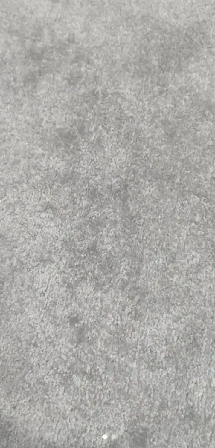 پالاز موکت کرم روشن (صدفی)|موکت|جوانرود, |دیوار