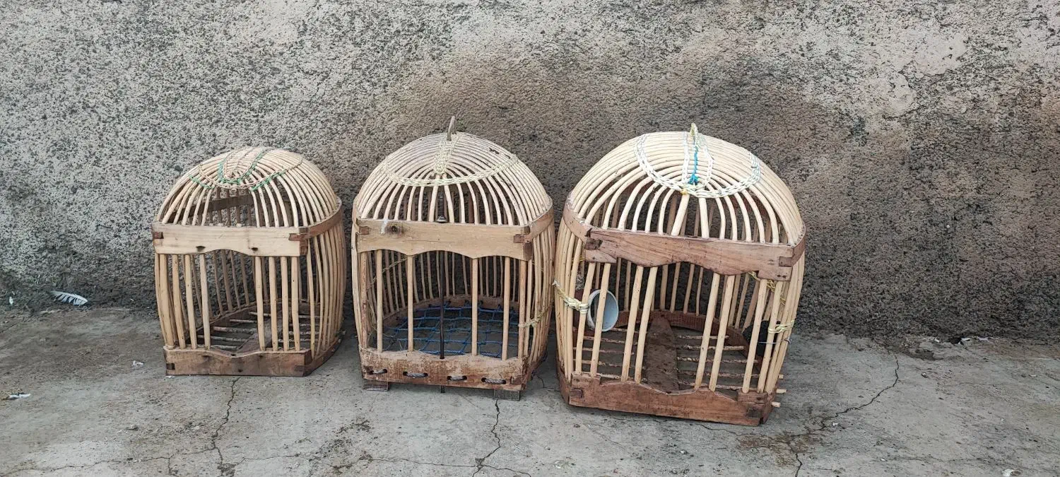 قفس|لوازم جانبی حیوانات|کرمانشاه, |دیوار