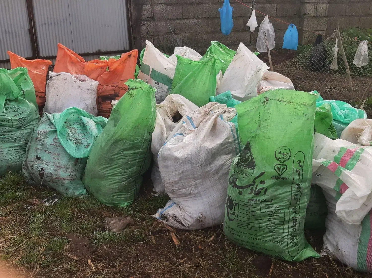 کود خشک گاو|خدمات باغبانی و درختکاری|رودبنه, |دیوار