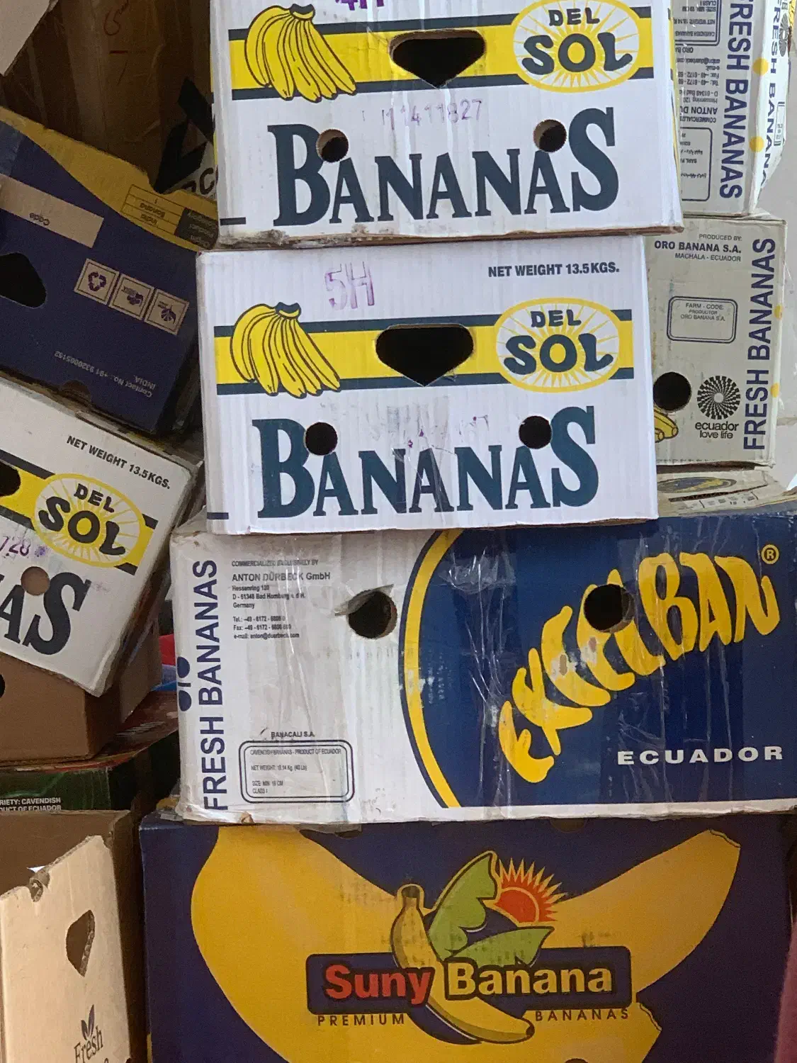 کارتن موز|عمدهفروشی|رشت, دیلمان|دیوار