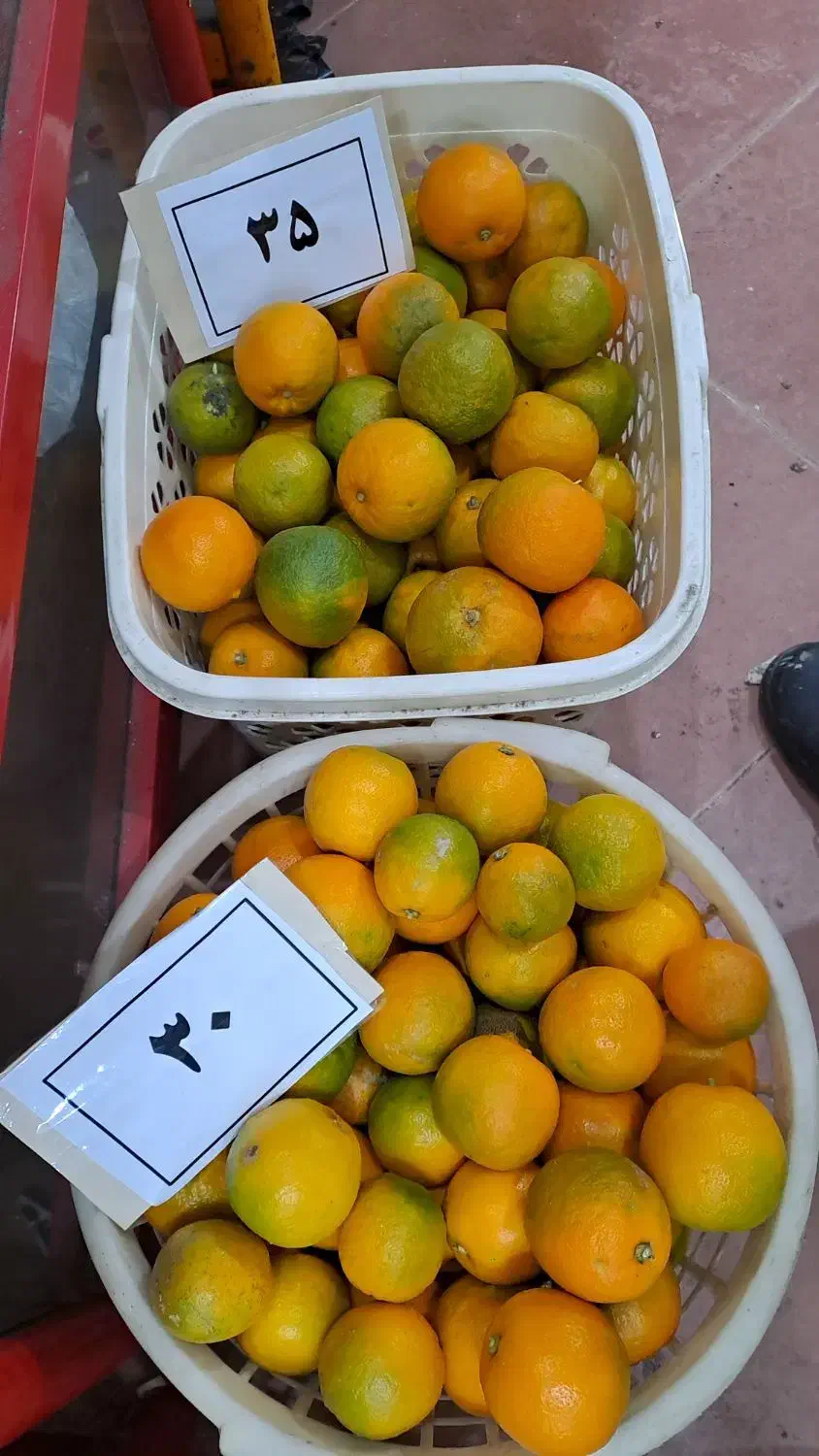 فروش پرتقال، جزئی و عمده|خوردنی و آشامیدنی|رشت, سلیمانداراب|دیوار