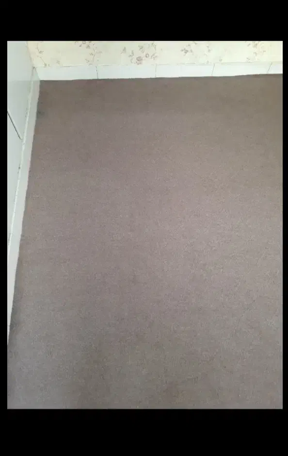 موکت فیلی رنگ|موکت|تهران, مشیریه|دیوار