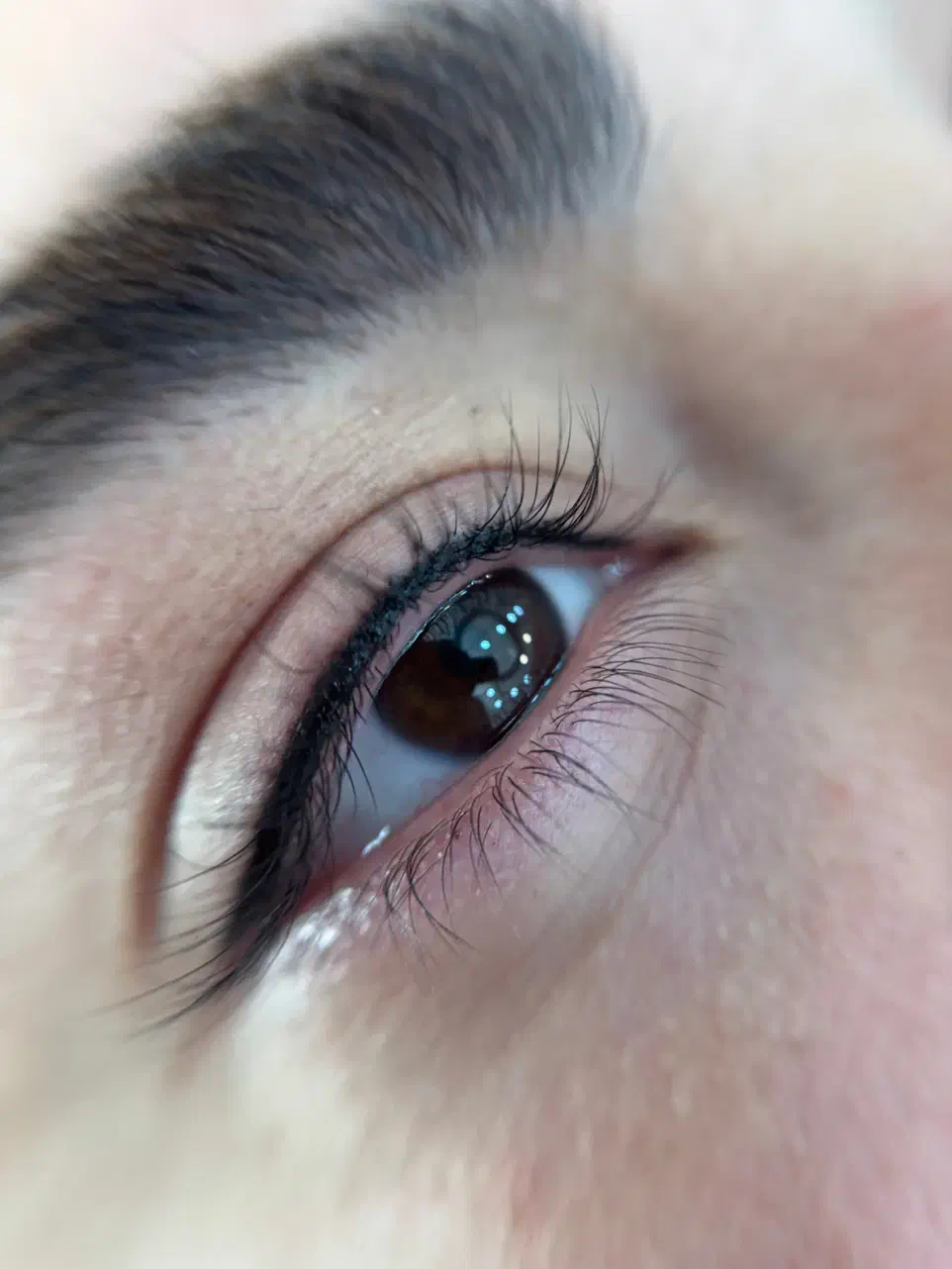 خدمات واموزش شیدلب،بنمژه،میکروابرو،ریمو فقط۲میلیون|خدمات آرایشگری و زیبایی|شیراز, قدوسی غربی|دیوار