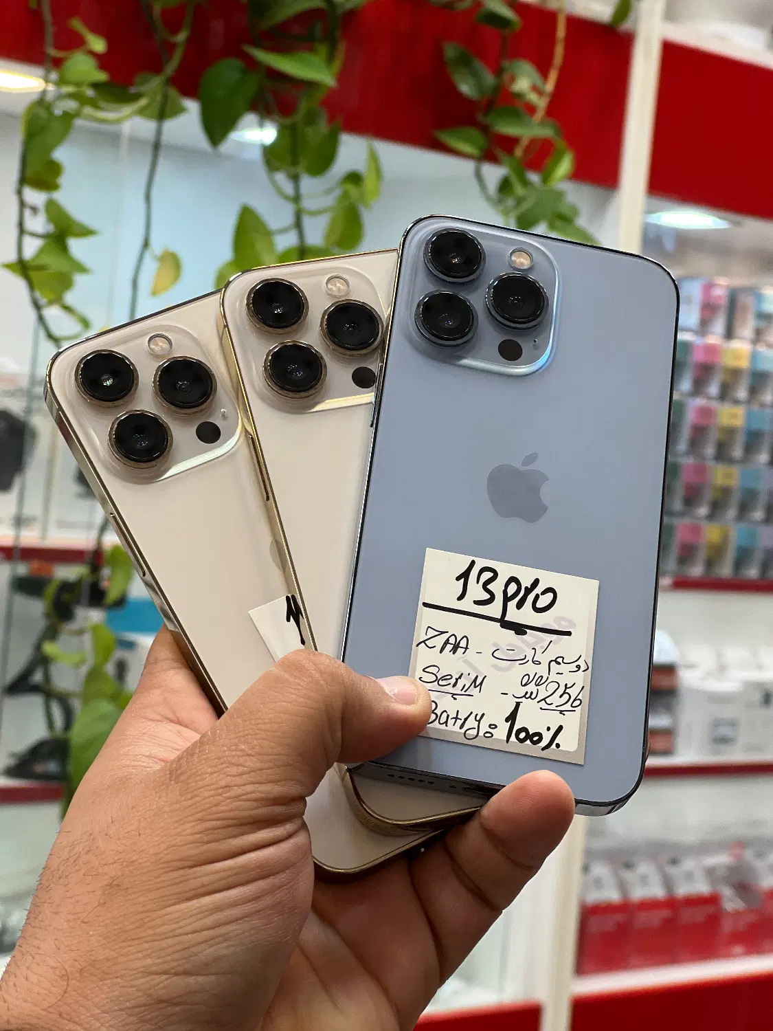 iPhone 13 pro|موبایل|شیراز, زند|دیوار