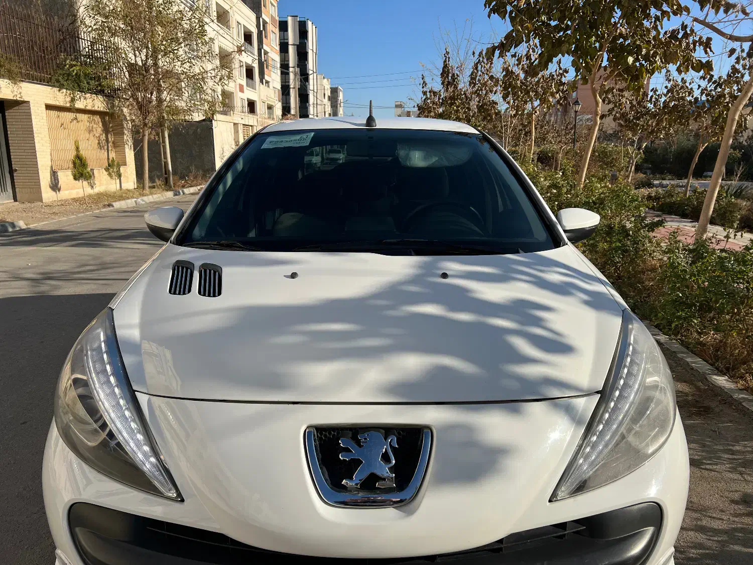 ۲۰۷مدل ۹۶|خودرو سواری و وانت|بجنورد, |دیوار