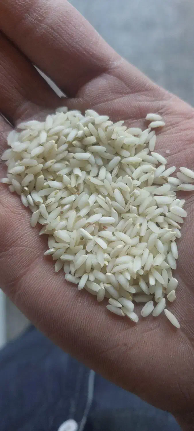 برنج عنبر بو درجه ۱|خوردنی و آشامیدنی|کوهدشت, |دیوار