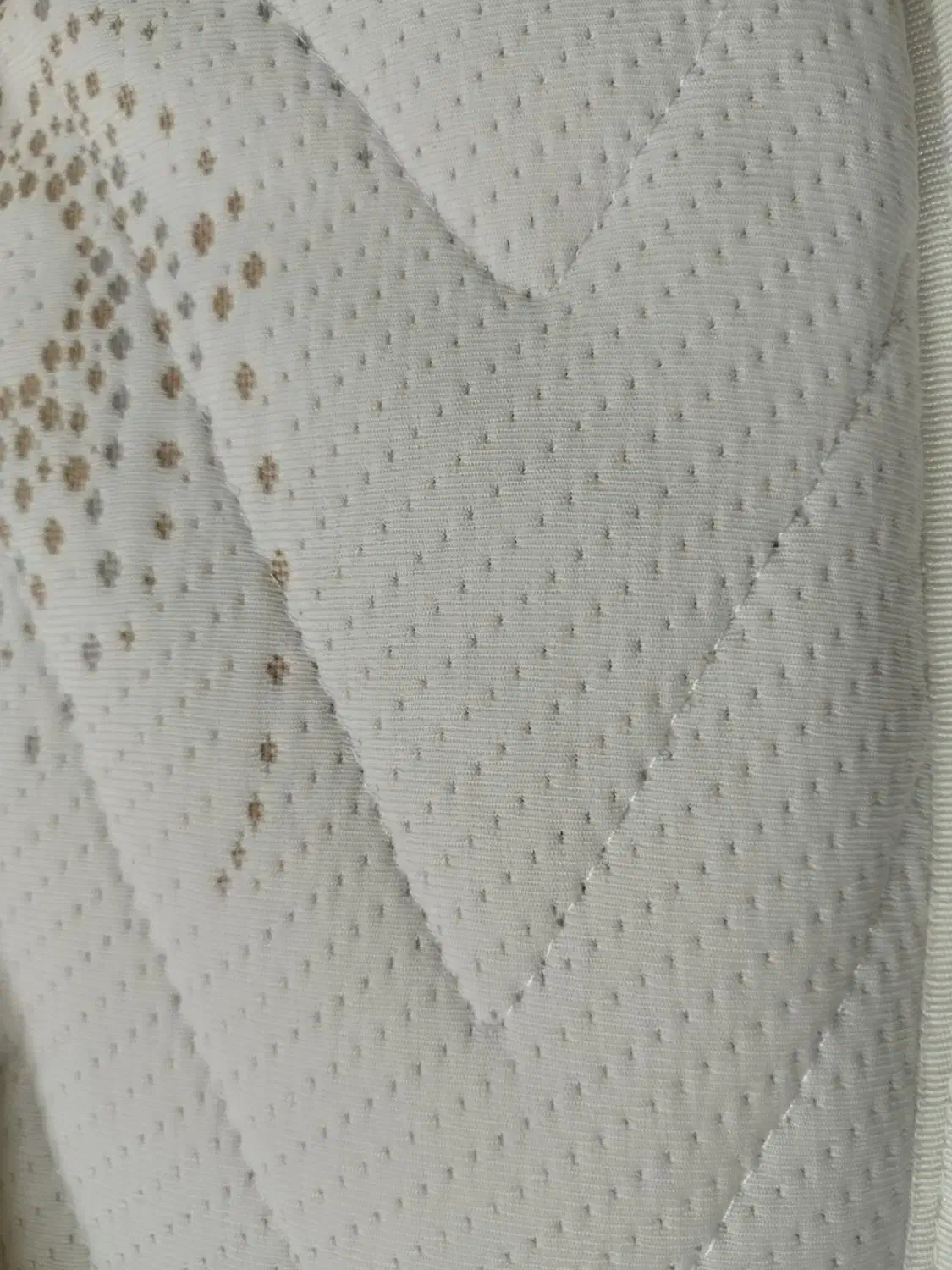 کیف برند|کیف، کفش، کمربند|اصفهان, دانشگاه اصفهان|دیوار