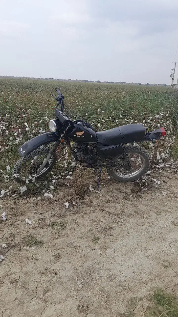 اکسل ۱۵۰ مدل ۸۹|موتورسیکلت|گرگان, |دیوار