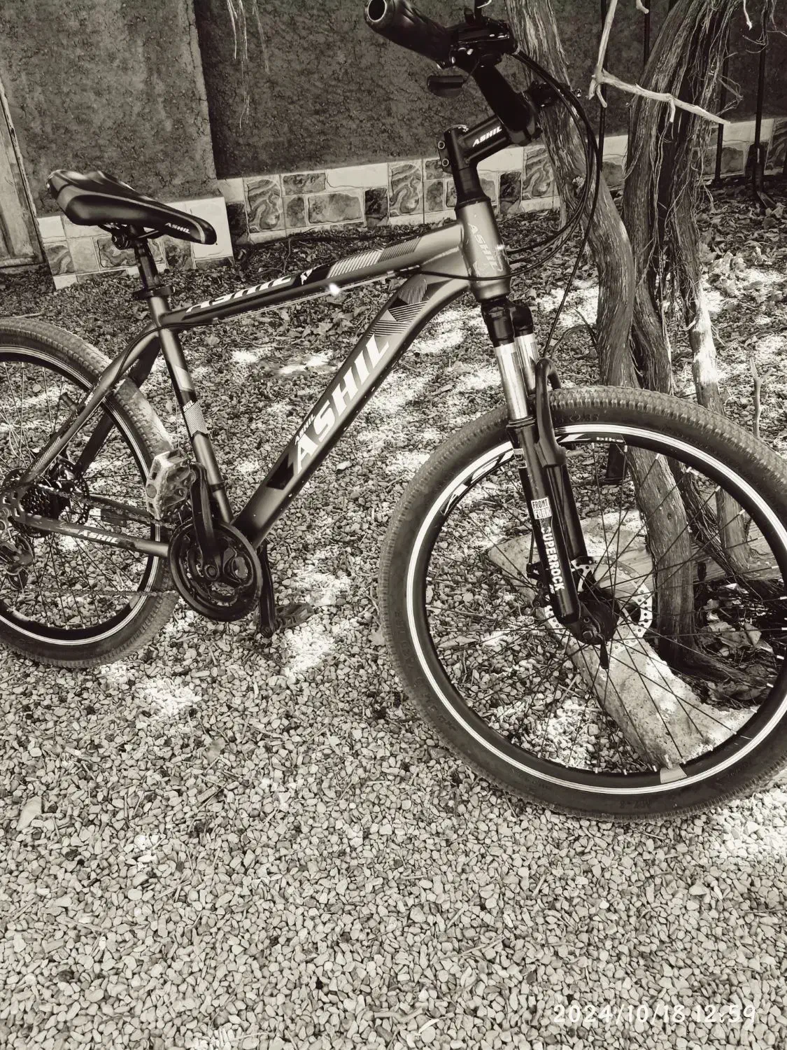 دوچرخه|دوچرخه، اسکیت، اسکوتر|کوهبنان, |دیوار