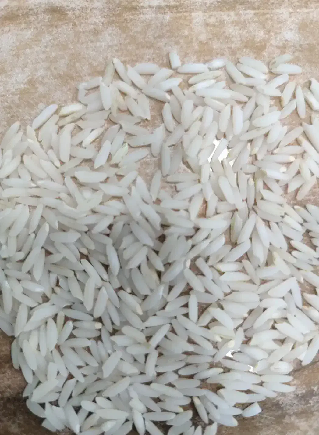 فروش برنج میانه.مستقیم ازکشاورز.عمده وخرده|خوردنی و آشامیدنی|میانه, |دیوار