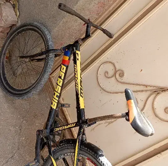 دوچرخه24|دوچرخه، اسکیت، اسکوتر|زابل, |دیوار