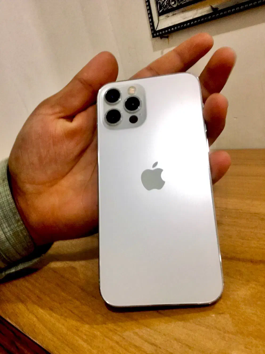 اپل ۱۲پرو پلمپ لاکاغذی|موبایل|تربت جام, فاز ۱ فرهنگیان|دیوار