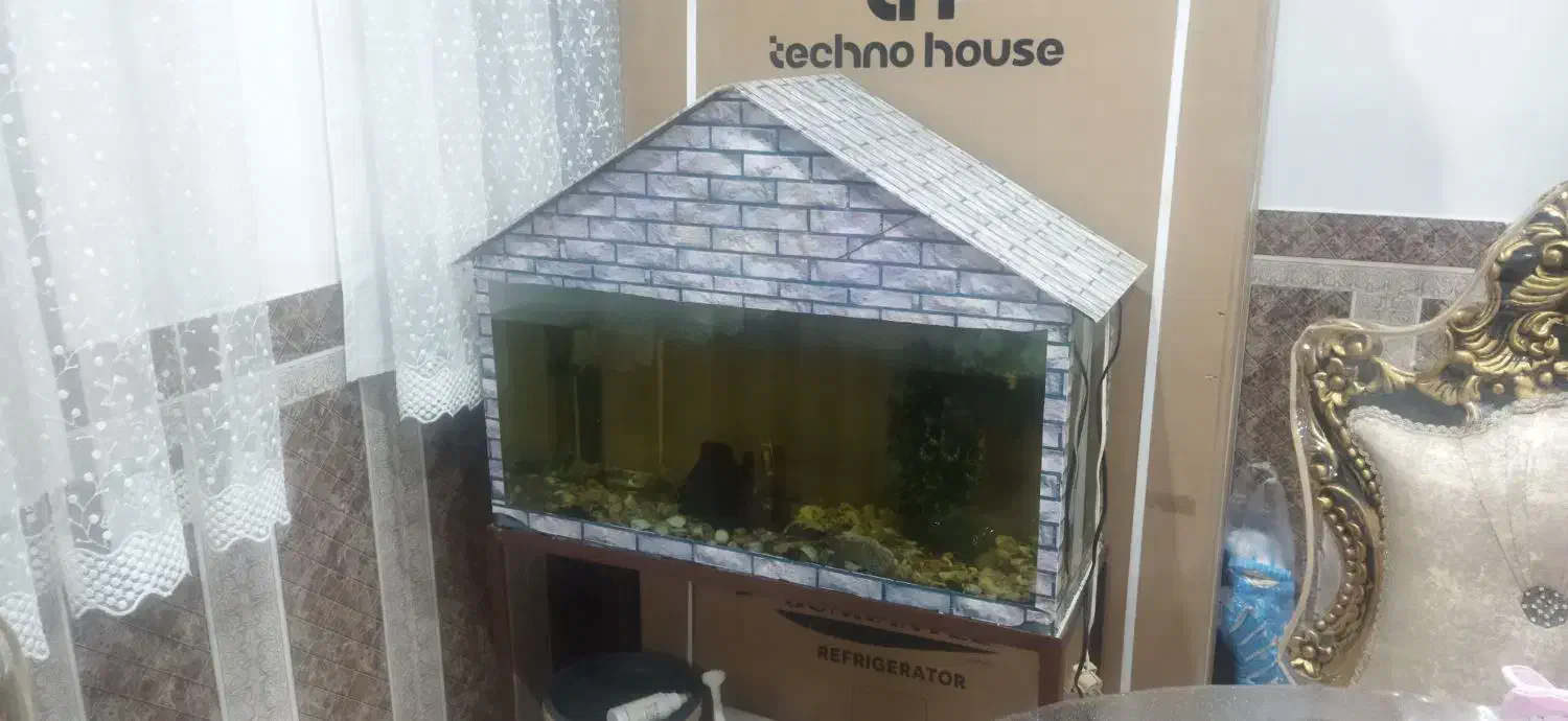 اکواریوم|ماهی|خرمآباد, |دیوار