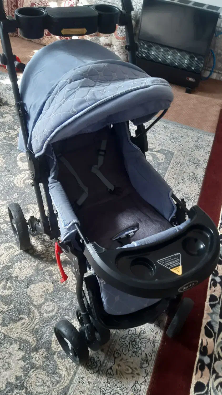 کالسکه دلیجان رنگ ابی|کالسکه و لوازم جانبی|شیراز, میانرود|دیوار