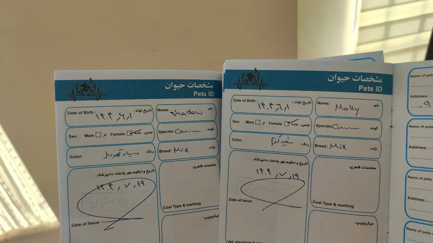 واگذاری دو قلاده سگ شناسنامه دار|سگ|مشهد, ویلاشهر|دیوار