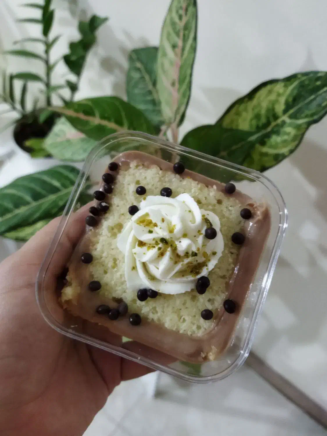 جارکیک، کوکی، قندونبات|خوردنی و آشامیدنی|بابلسر, |دیوار