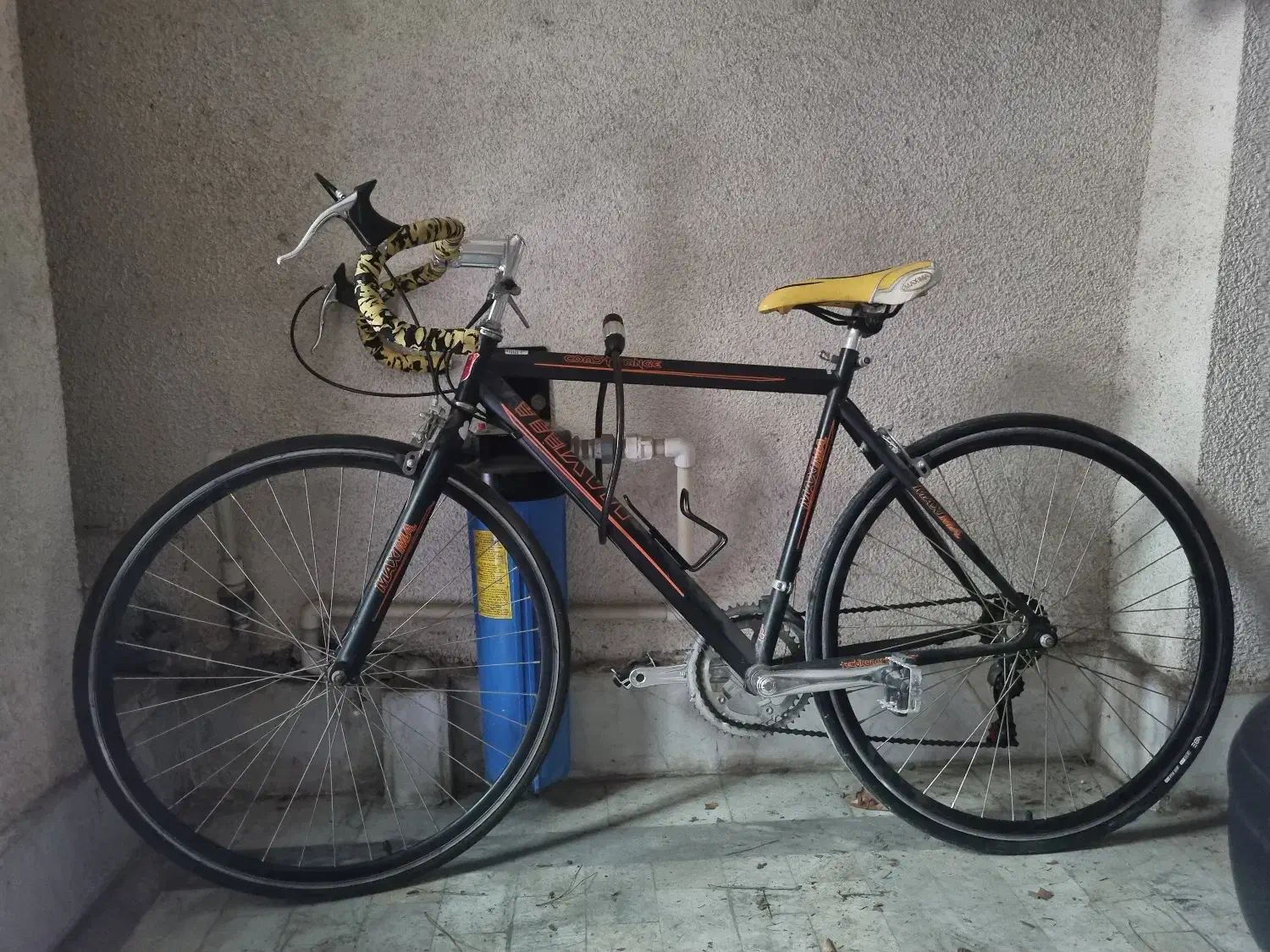 دو چرخه کورسی حرفه ای ماکسیما|دوچرخه، اسکیت، اسکوتر|گرگان, |دیوار